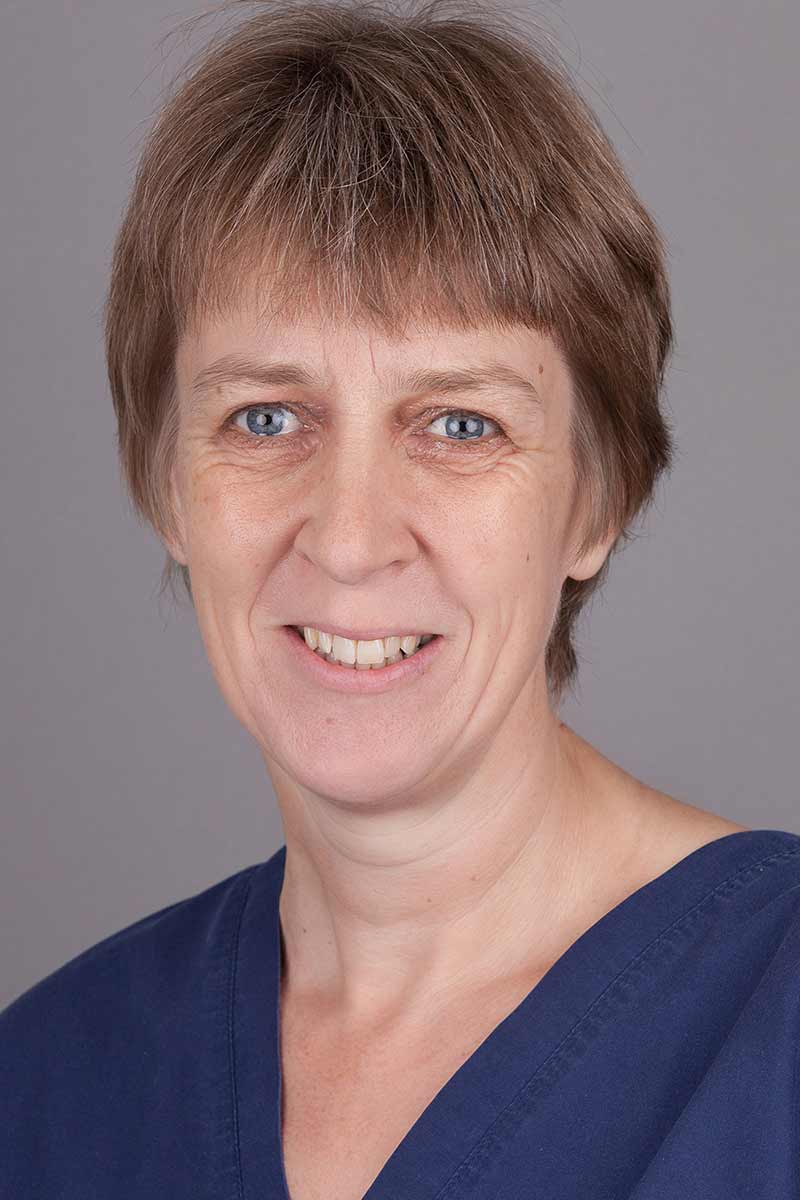 Dr. Birgit Wrede